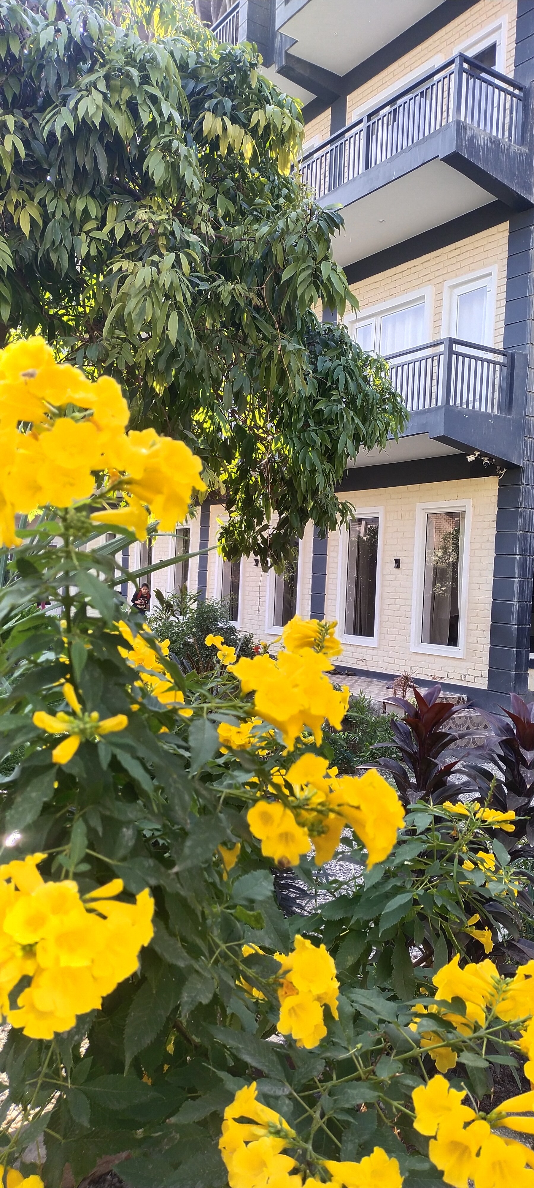 Hotel Tapovanam - Tap to explore photos