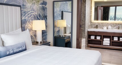 Hotel Indigo Flushing Room Type - 1 King Communication Mobility Accessible Roll In Shower