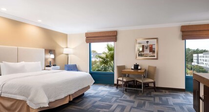 Hampton Inn Charleston North Room Type - 1KNG DLX W  WHIRLPL NOSMOK