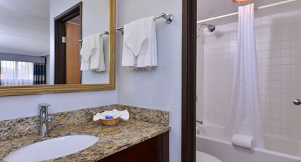 Best Western Naperville Inn Room Type - 1 King Bed, Non-Smoking, High Speed Internet Access, Sofabed, Microwave, Refrigerator, Full Breakfas Best Western Naperville Inn Room Type - 1 King Bed, Non-Smoking, High Speed Internet Access, Sofabed, Microwave, Refrigerator, Full Breakfas