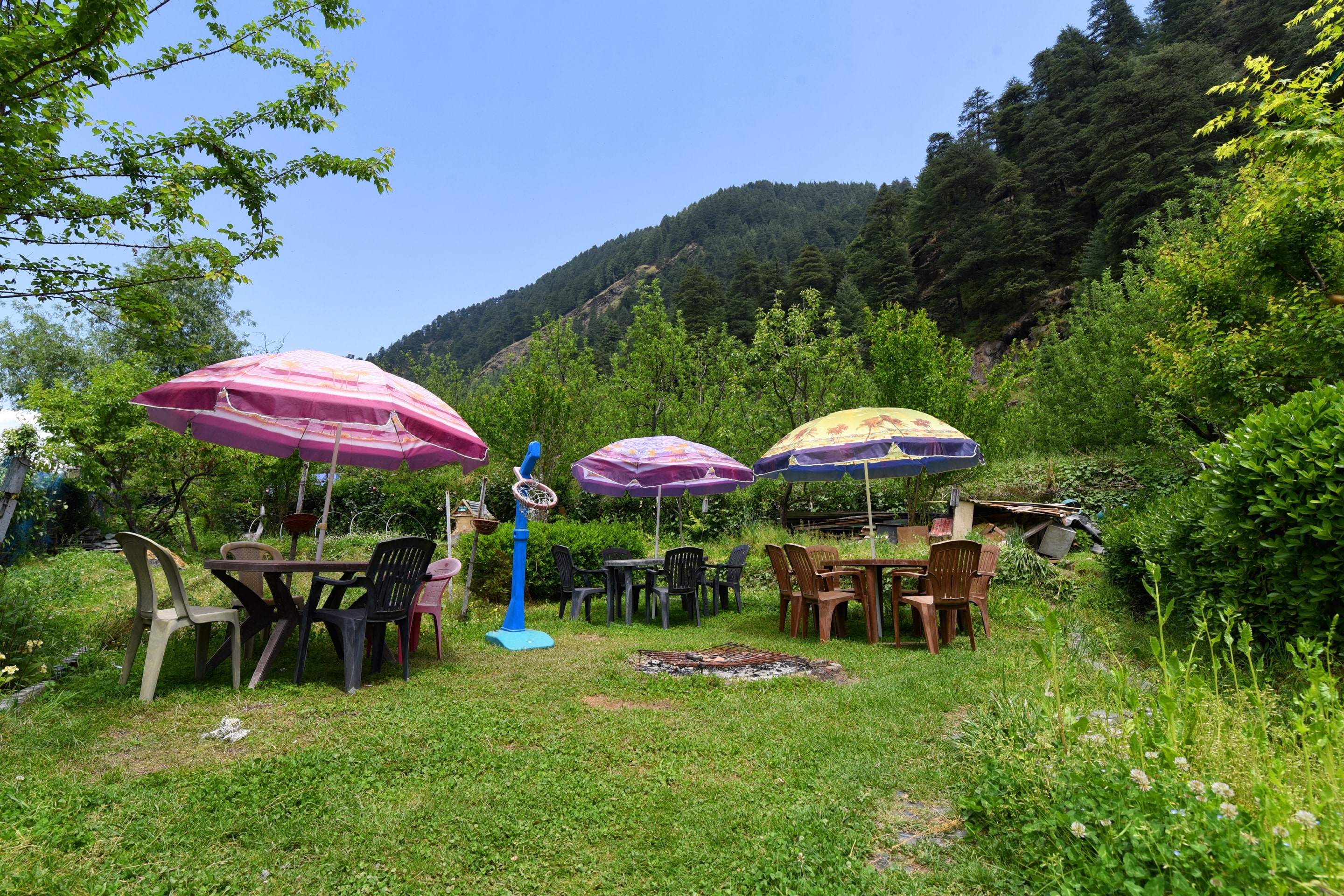 Hotel O by OYO Manali Meadows Home Stay - Tap to explore photos