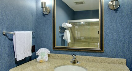 Holiday Inn Channelview Room Type - 1 King Standard