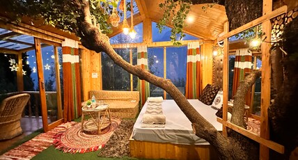 Royal Himalayan Tree House Room Type - Semi glass tree house