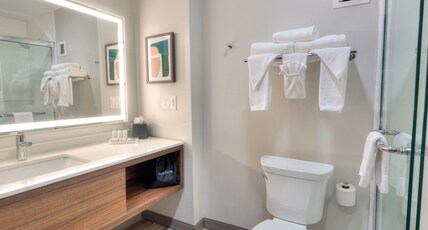 Holiday Inn GAINESVILLE-UNIVERSITY CTR Room Type - 1 King Standard