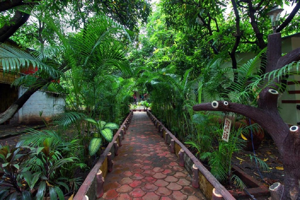 Van Vihar Resort - Tap to explore photos