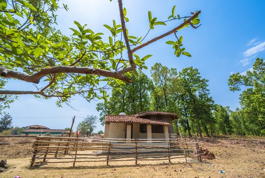 Guava Homestay
