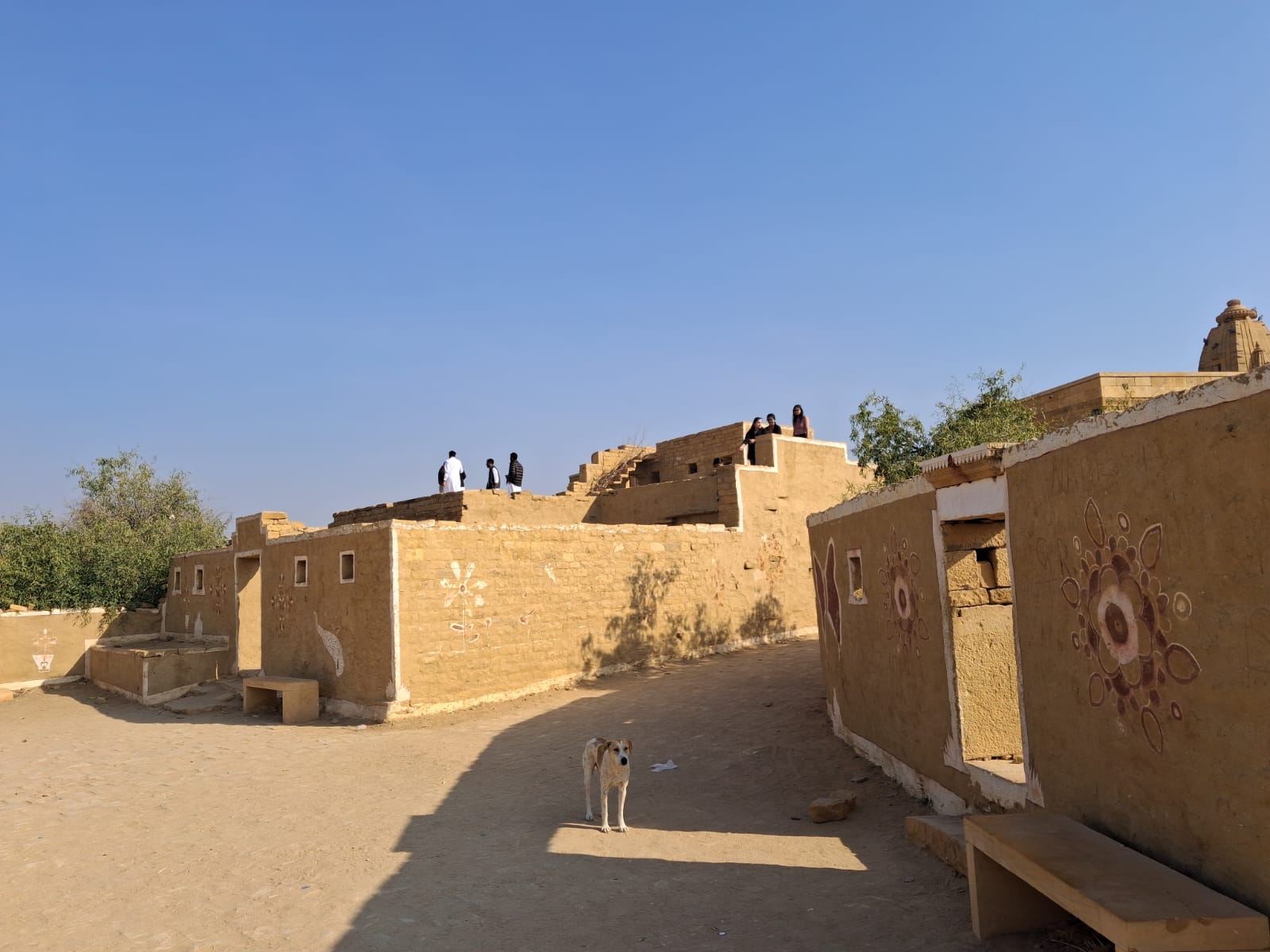 Hotel Neem Haveli - Tap to explore photos