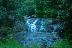 Wild Courtyard Resort Vythiri