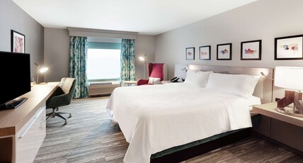 Hilton Garden Inn Chicago North Shore/Evanston Room Type - 1 KING BED WITH SOFABED