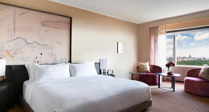 Park Lane New York Room Type - Park View King