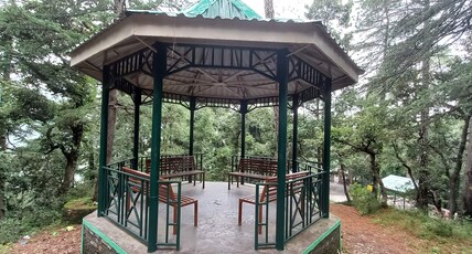 Cedar Hideaway 2Bhk Deodar forest view full flat Room Type - Cedar Hideaway 2Bhk Deodar forest view full flat