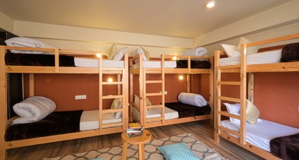 Zostel Dobhi (Manali)  Room Type - A bed in 6 Bed Female Dorm