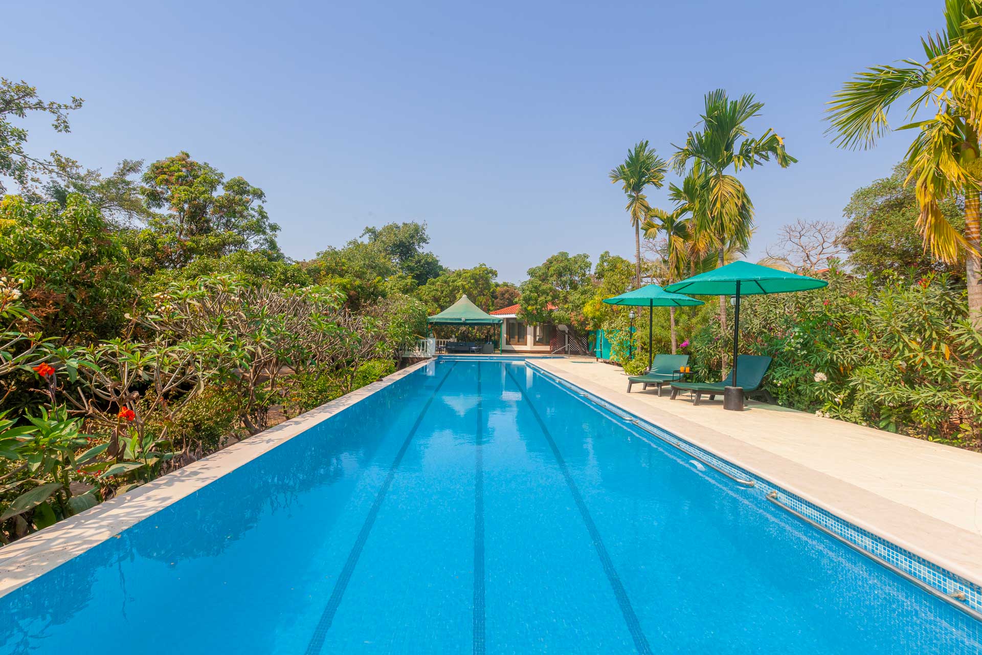 StayVista | Casa Palmera 6 BHK Pool Villa - Tap to explore photos