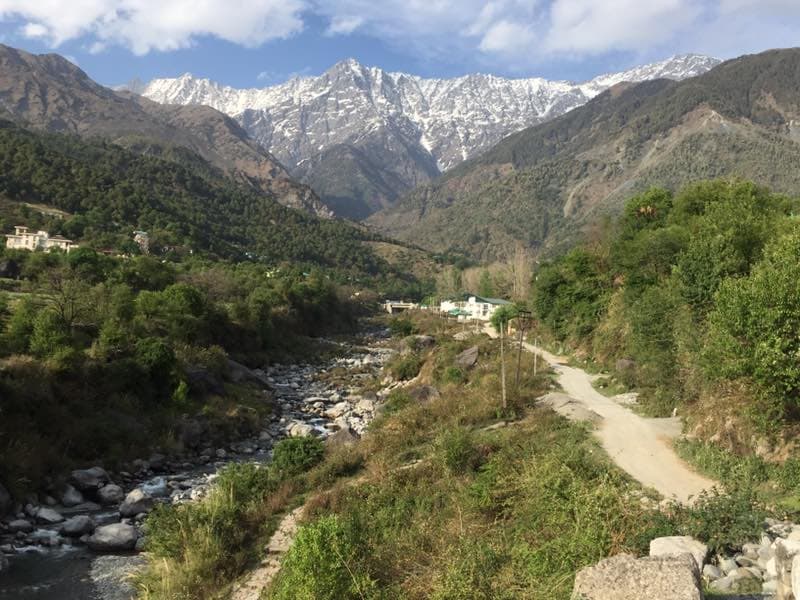 Rajinder Guest House - Tap to explore photos