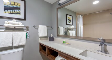 Holiday Inn St. Augustine - World Golf Room Type - 1 King Standard