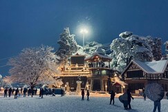 Oxfordcaps Abuzz - Shimla