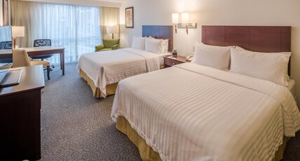 Holiday Inn MONTERREY VALLE Room Type - 2 Double Standard