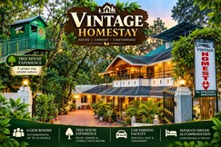Vintage Farm House and Treehouse
