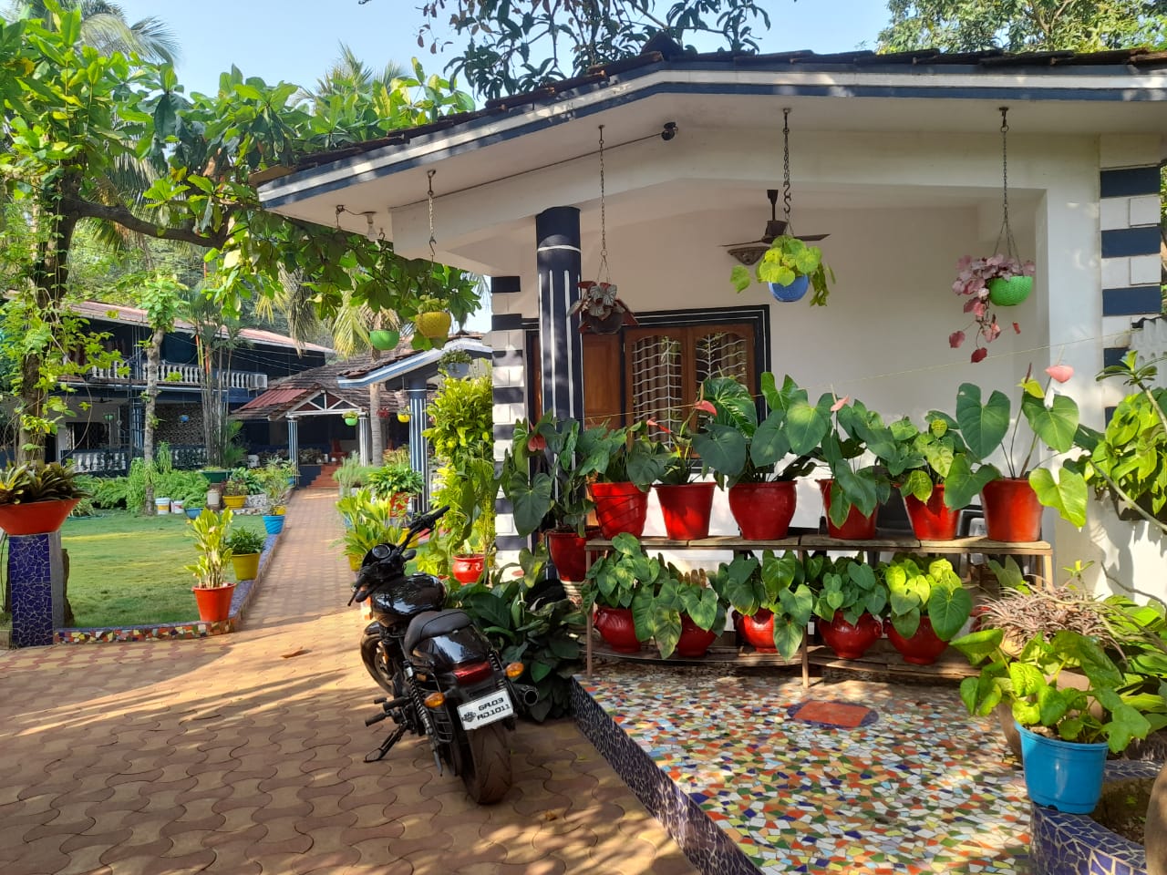 Main gallery