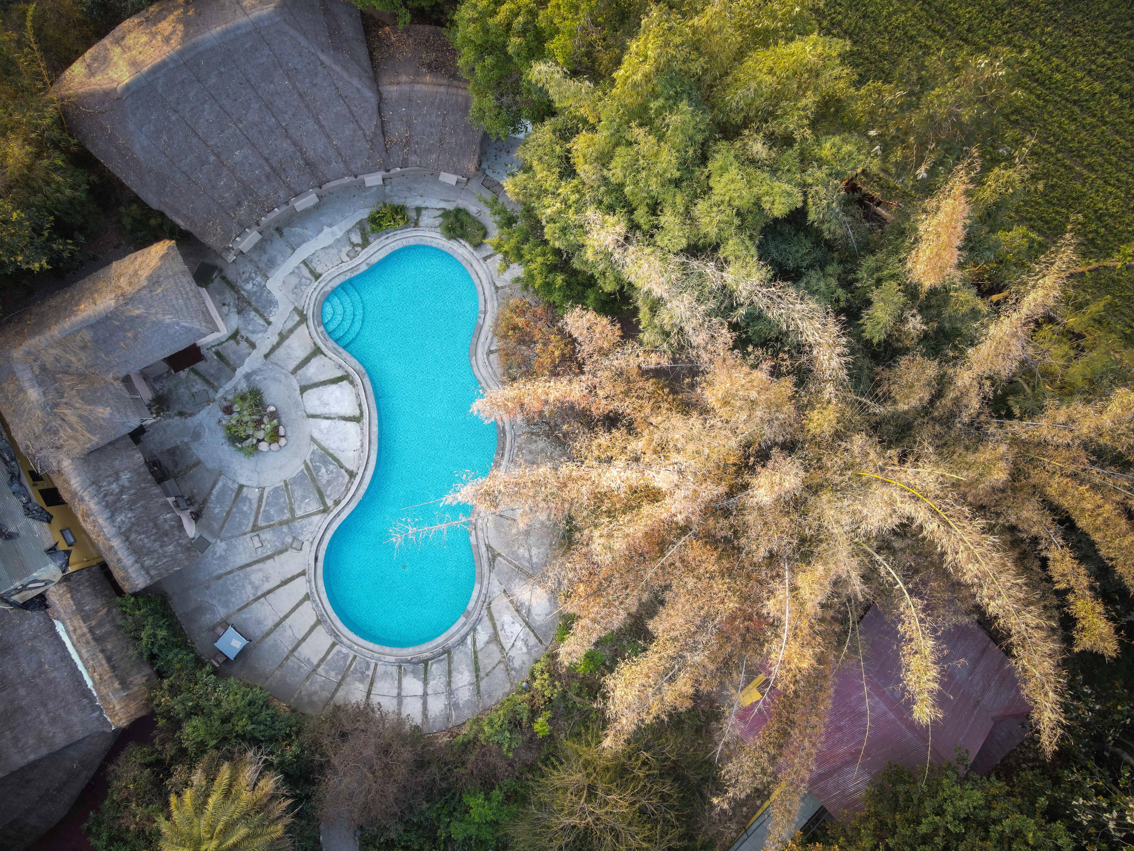 Jim's Jungle Retreat - Tap to explore photos
