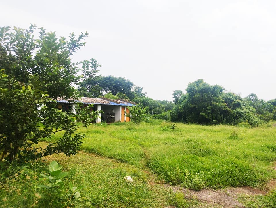 Dera Eco Resort | Farm Stay Near Cuttack - Tap to explore photos