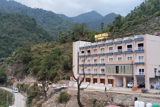MUSK HILL RESORT
