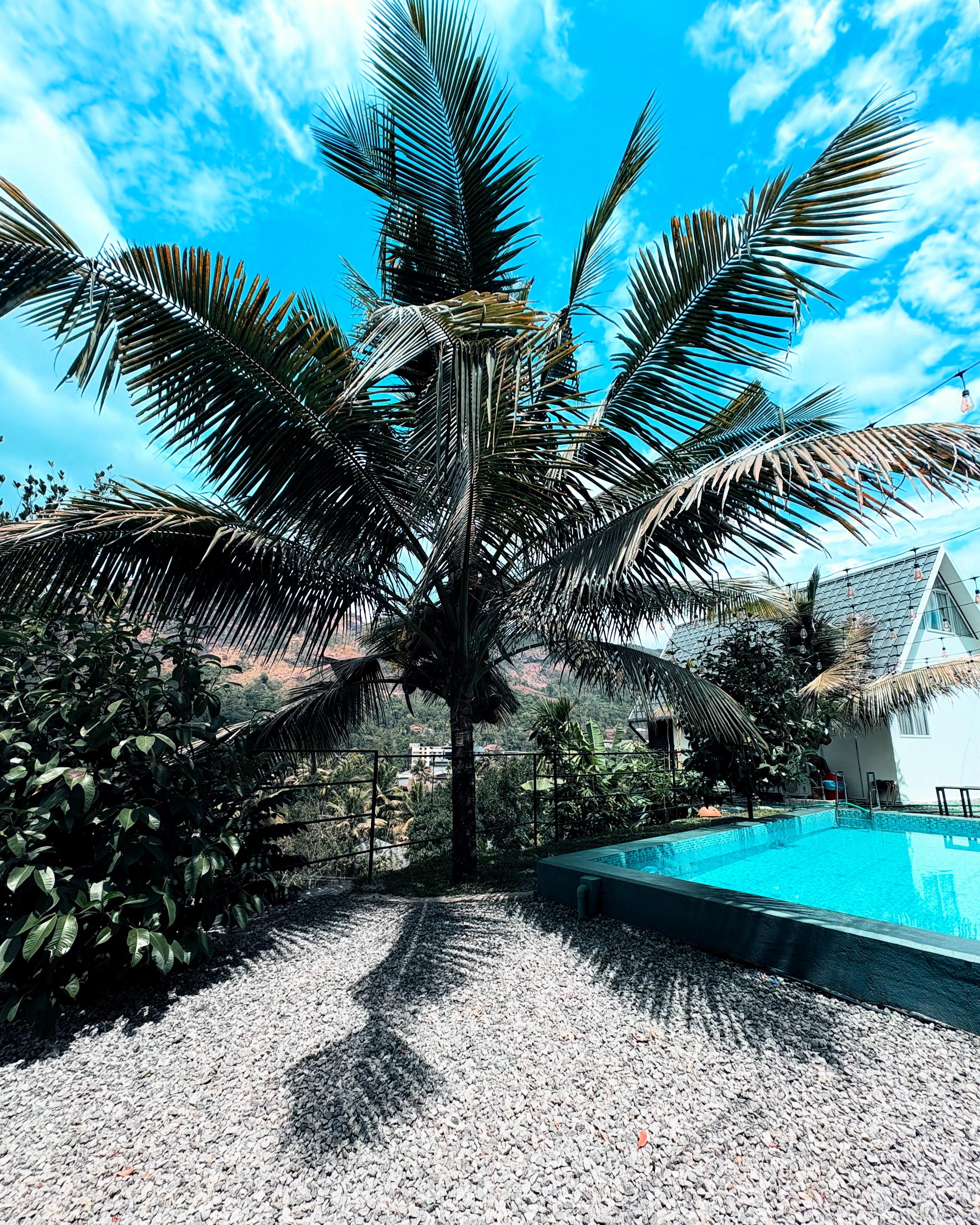 Palm Paradise Aframe Pool Cottage - Tap to explore photos