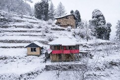 Sunflower Treehouse and Cottages
