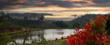 Jungle View resort