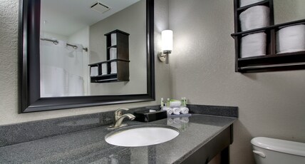 Holiday Inn Express & Suites JACKSON DOWNTOWN - COLISEUM Room Type - 1 King Standard