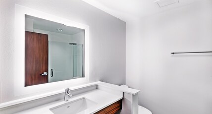Holiday Inn Express & Suites CHANUTE Room Type - 1 King Standard