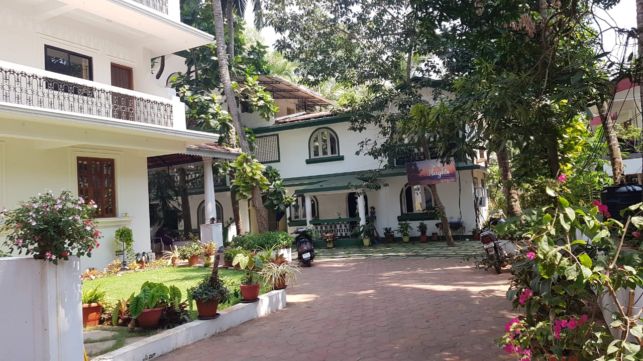 Main gallery