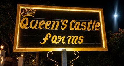 Queen Castle Farms Udaipur Room Type - Queen Castle Farms Udaipur