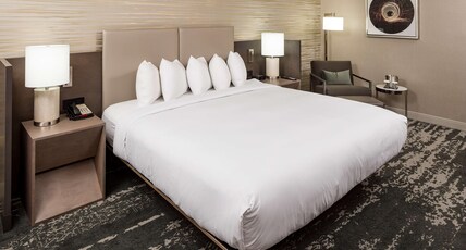DoubleTree by Hilton Boston Logan Airport Chelsea Room Type - 1 KING BED