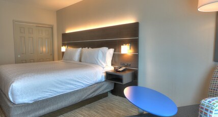 Holiday Inn Express & Suites MOBILE/SARALAND Room Type - 1 King Standard