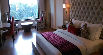 RS Sarovar Portico Room Type - Junior Suite - 1 Double Bed