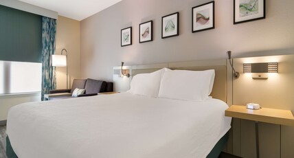 Hilton Garden Inn Madison West/Middleton Room Type - 1 KING BED SOFABED NOSMOKE