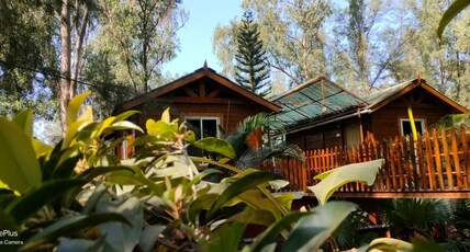 THE JUNGLE RESORT, AMBA Room Type - Wooden Cabin AC