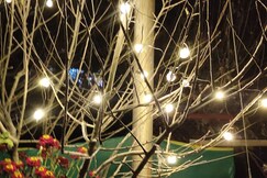 Paradise escape homestay