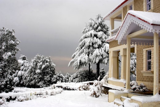Tree of Life Grand Oak Manor, Binsar