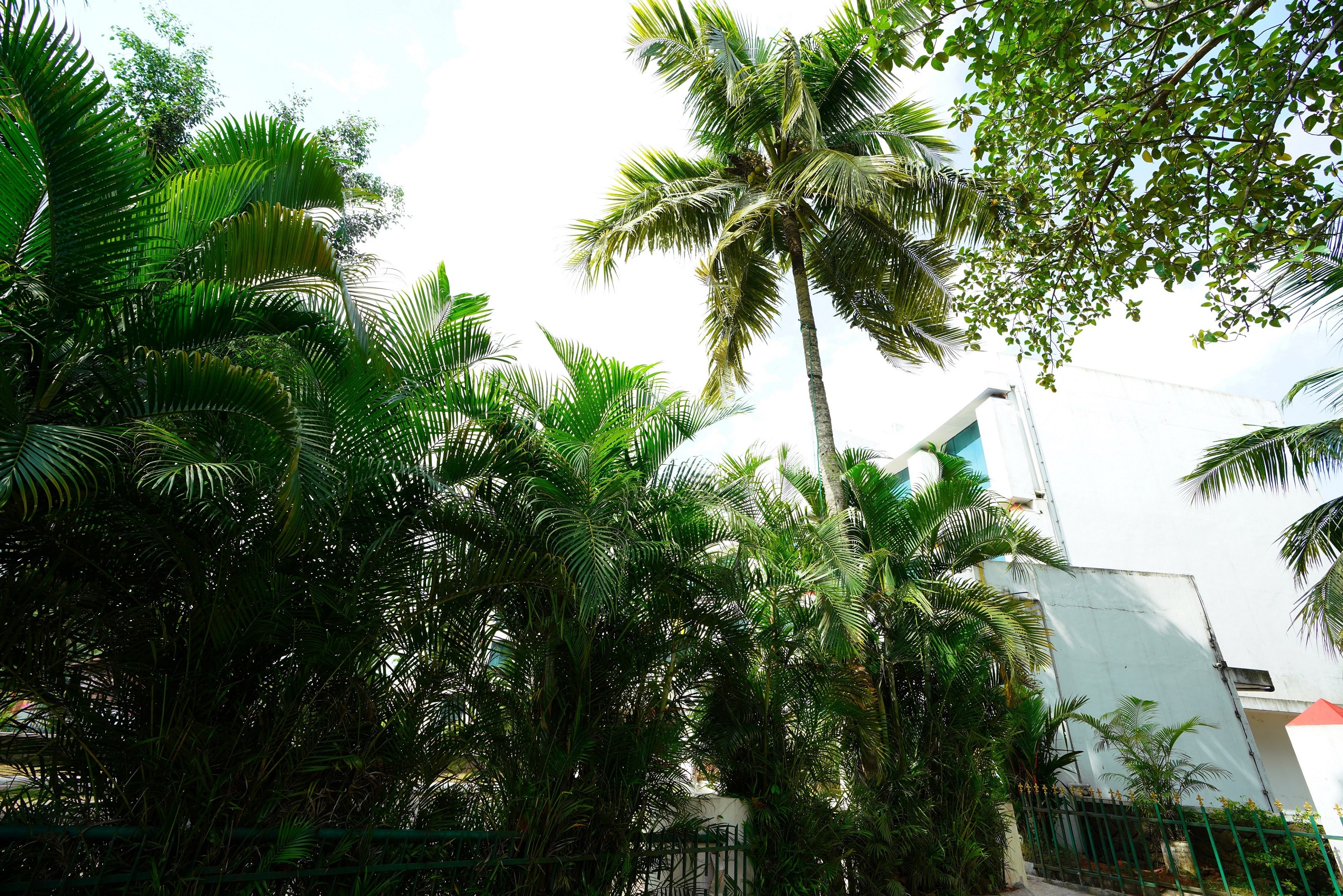 Hotel Abhirami, Kattakada - Tap to explore photos