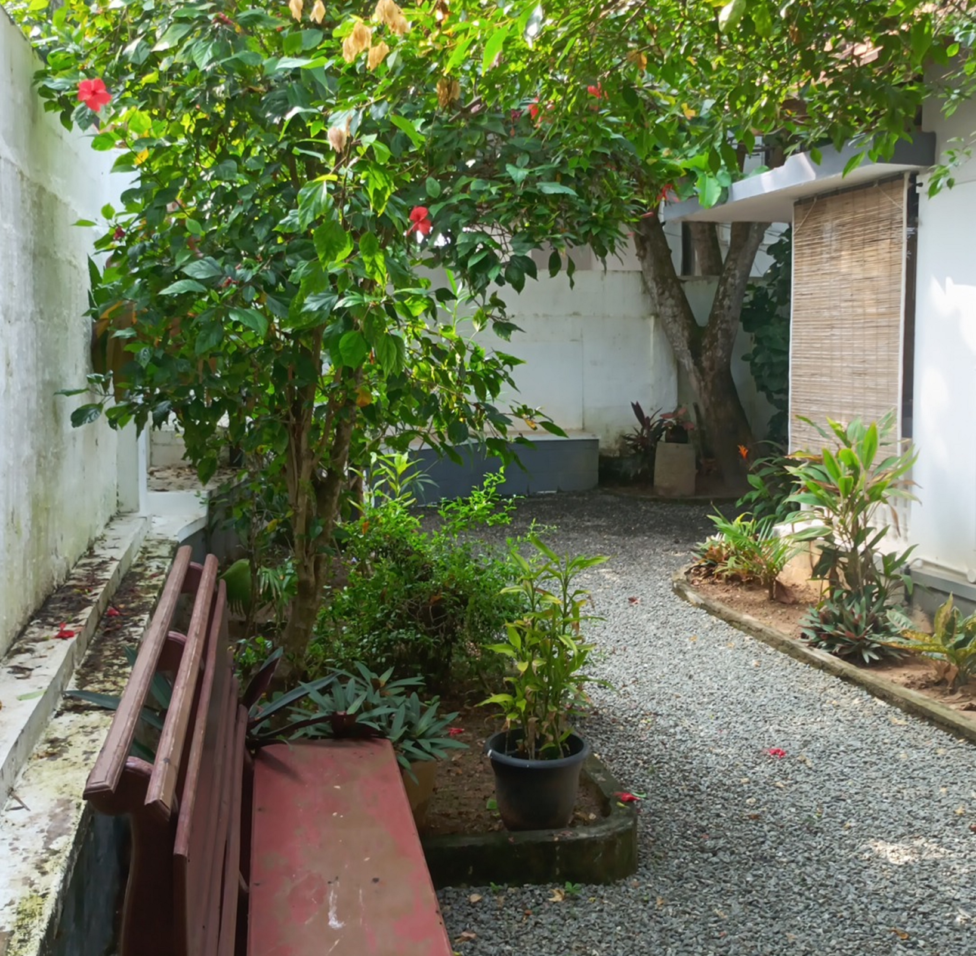 Dolphinbay beach resort - Tap to explore photos