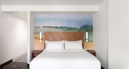 River's Edge Hotel Portland, Tapestry Collection by Hilton Room Type - 1 KING BLCNY RVR VW SFABD