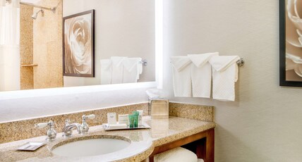 Hilton Wilmington/Christiana Room Type - 1 KING DELUXE RM W  LANAI