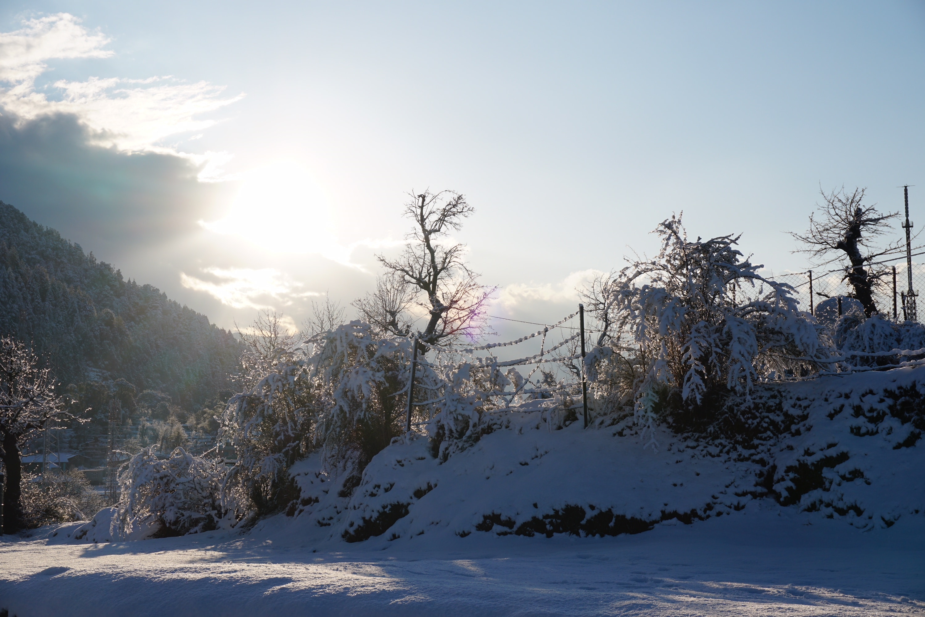 Ess & Bee Resorts - Tap to explore photos