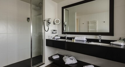 Mercure Lyon Genas Eurexpo Room Type - Standard Room with 1 double bed