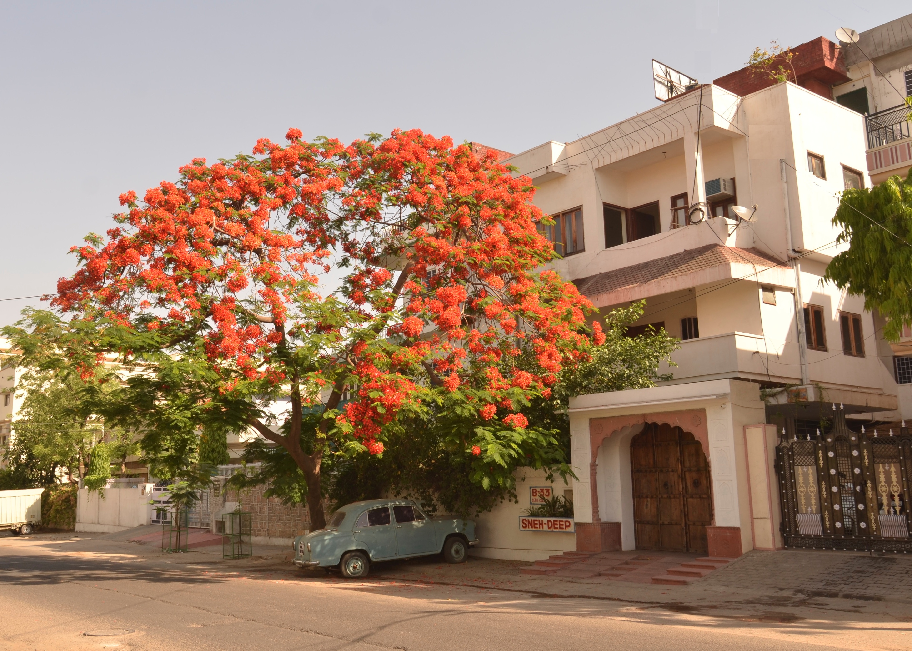 Sneh Deep Guest House - Tap to explore photos