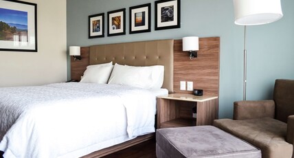 Hampton Inn by Hilton Durango Room Type - 1 KNG ACC ROLLIN SHWR NS