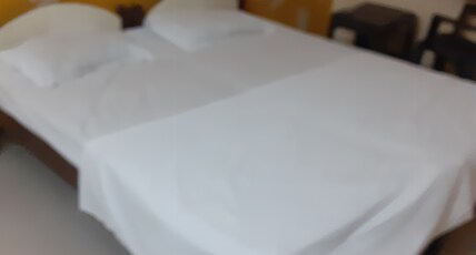 Hotel M.N.P(Maa Narmada Palace) Room Type - Standard Non AC