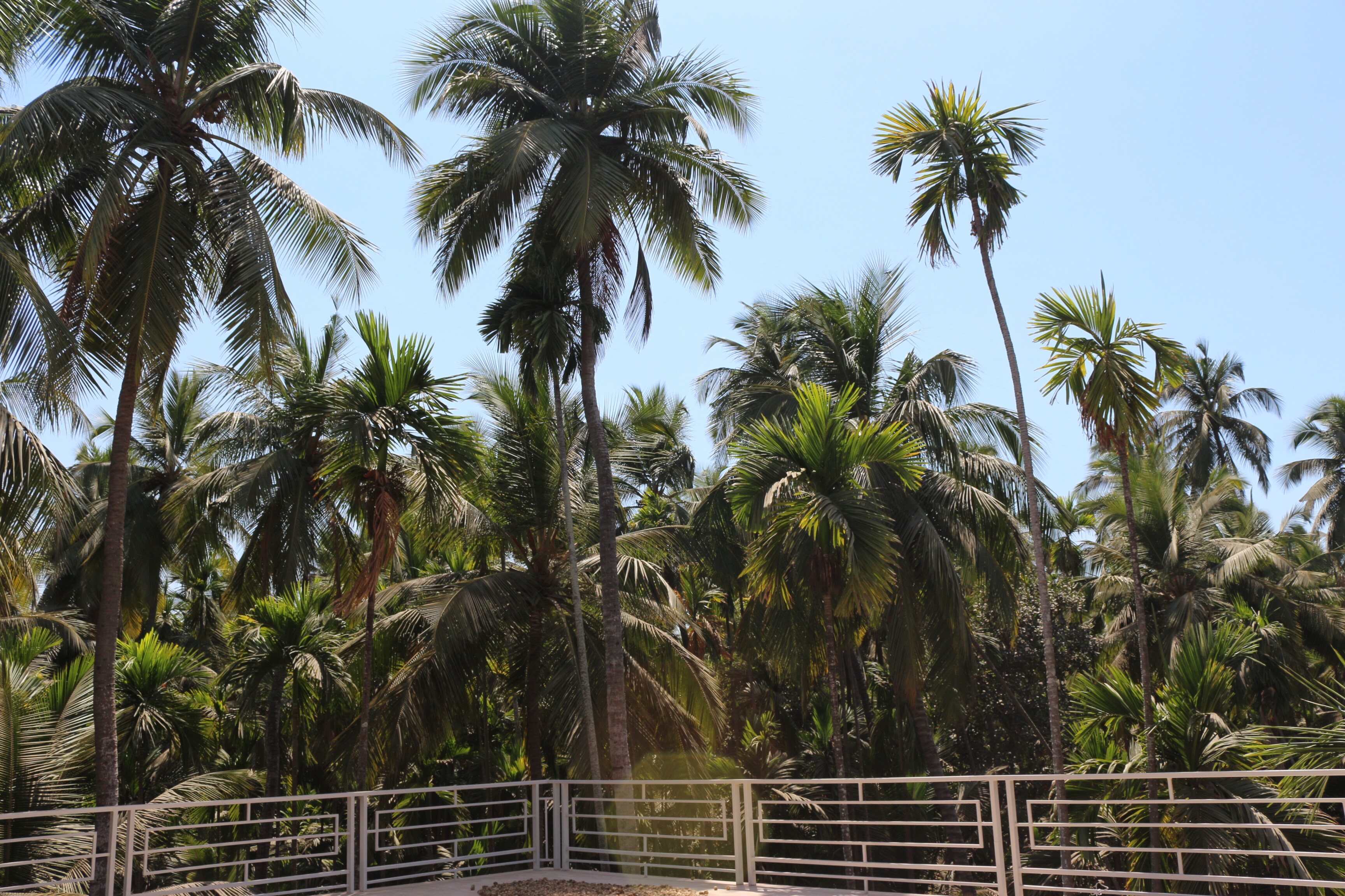 Massa The Holiday Beach Resort (5 Mins From Nandgaon Beach) - Tap to explore photos